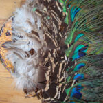 Pocketbook with peacock feathers